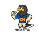 Cumberland Heights Falcons